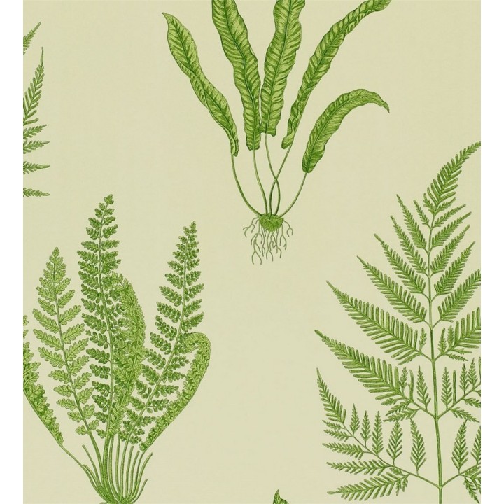 Papel pintado hojas de helechos inglesas - Georgette 564914
