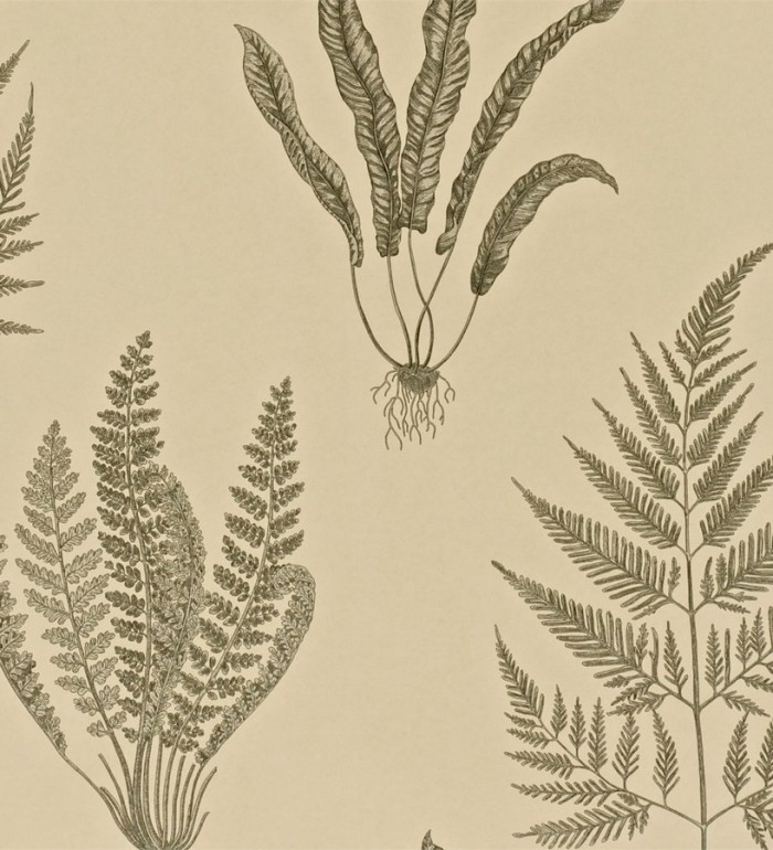 Papel pintado hojas de helechos inglesas - Georgette 564915
