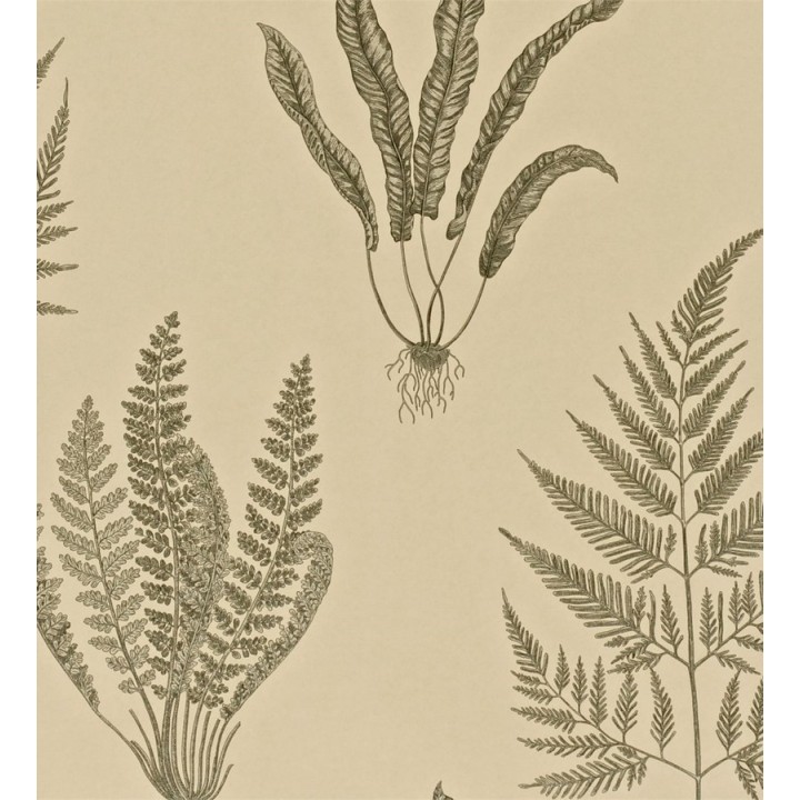 Papel pintado hojas de helechos inglesas - Georgette 564915