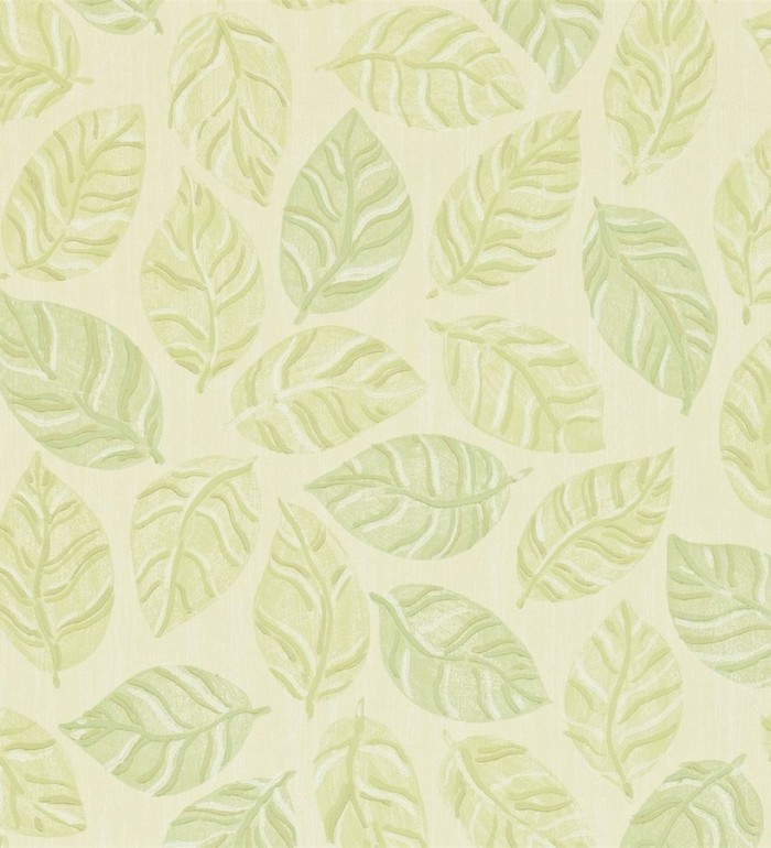 Papel pintado de margaritas fondo - Margot 565015
