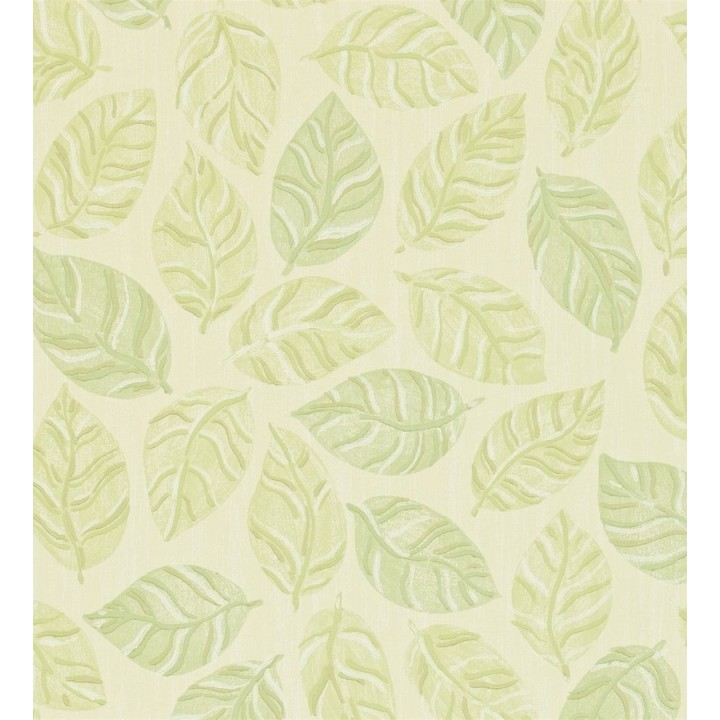 Papel pintado de margaritas fondo - Margot 565015