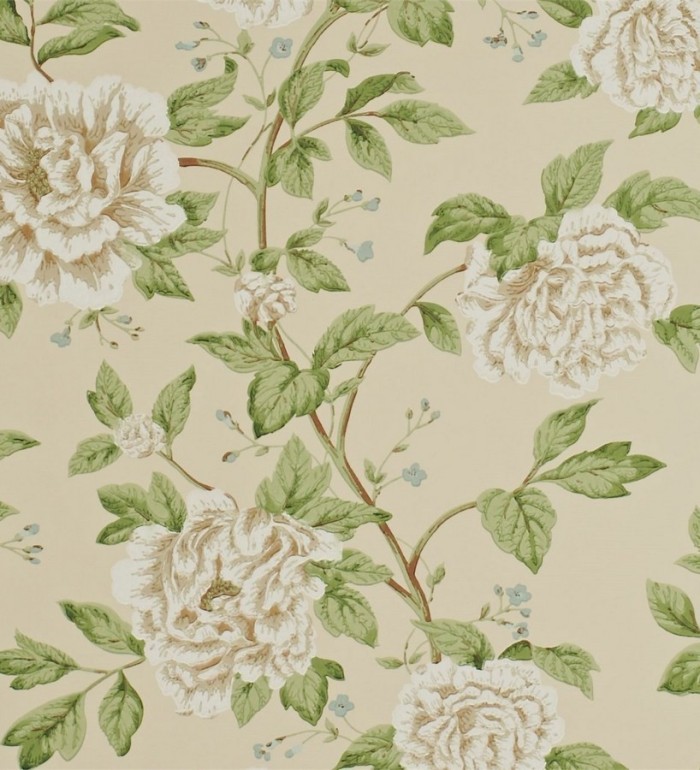 Papel pintado flores grandes de acabados románticos - Bergenia 565347