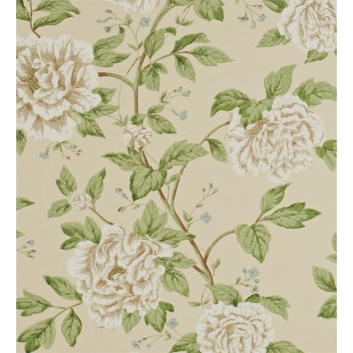 Papel pintado flores grandes de acabados románticos - Bergenia 565347