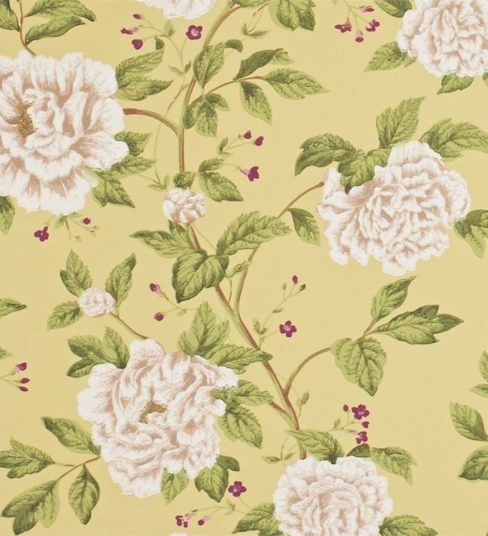 Papel pintado flores grandes de acabados románticos - Bergenia 565348