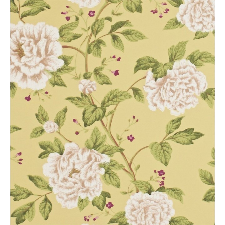 Papel pintado flores grandes de acabados románticos - Bergenia 565348