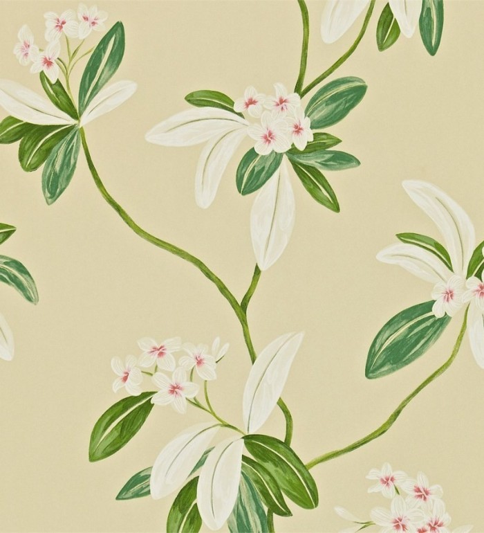 Papel pintado flores y hojas delgadas vintage al óleo - Givanna 565355