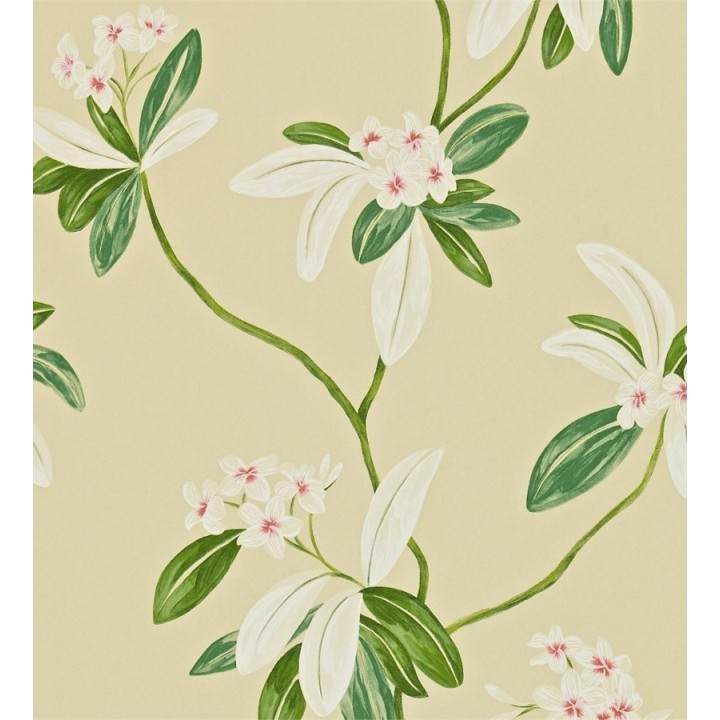 Papel pintado flores y hojas delgadas vintage al óleo - Givanna 565355
