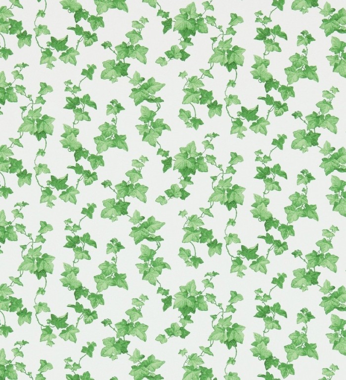 Papel pintado hojas de enredadera artísticas - Rivina 565491