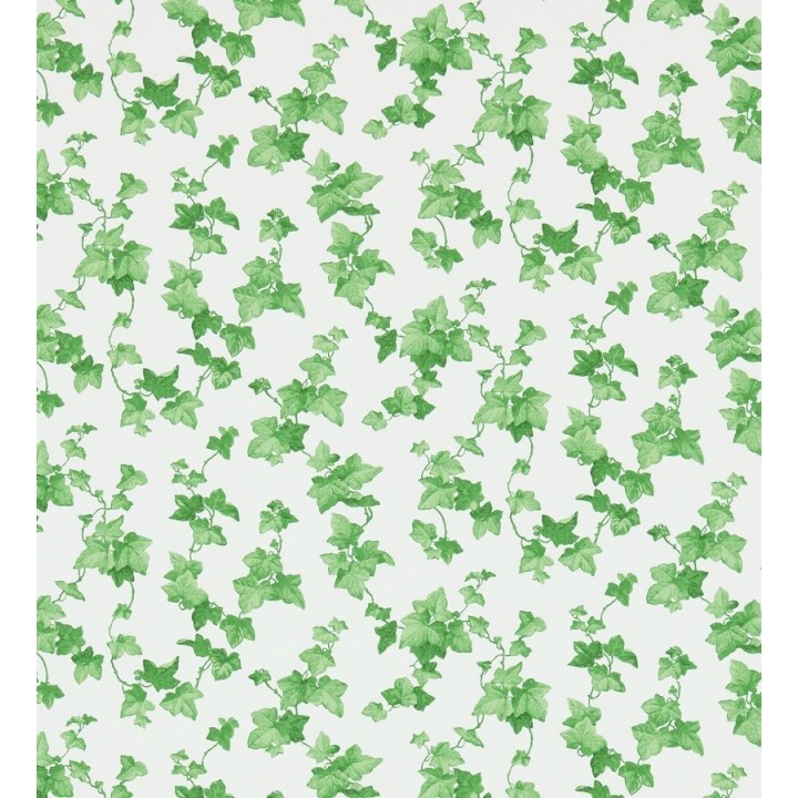 Papel pintado hojas de enredadera artísticas - Rivina 565491
