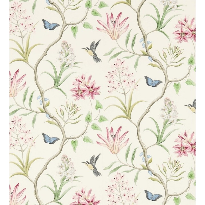 Papel pintado mariposas y colibrís con naturaleza artística - Dorothy 565531