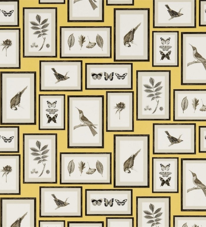 Papel pintado collage inglés de hojas y pájaros enmarcados - Moray 565539