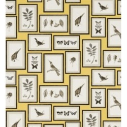 Papel pintado Moray 565539