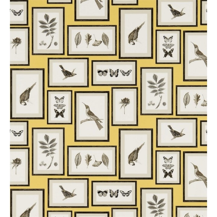 Papel pintado collage inglés de hojas y pájaros enmarcados - Moray 565539