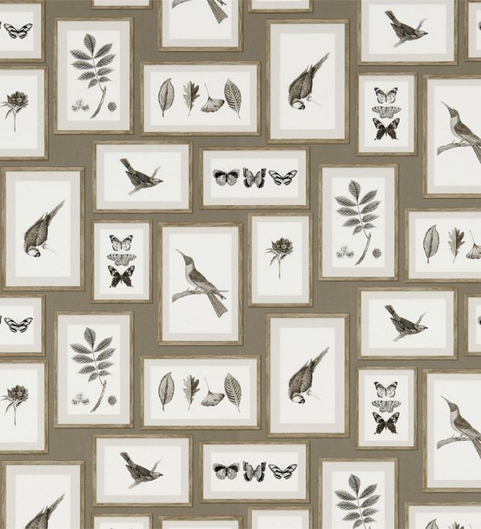 Papel pintado collage inglés de hojas y pájaros enmarcados - Moray 565540