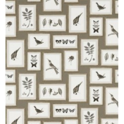 Papel pintado Moray 565540