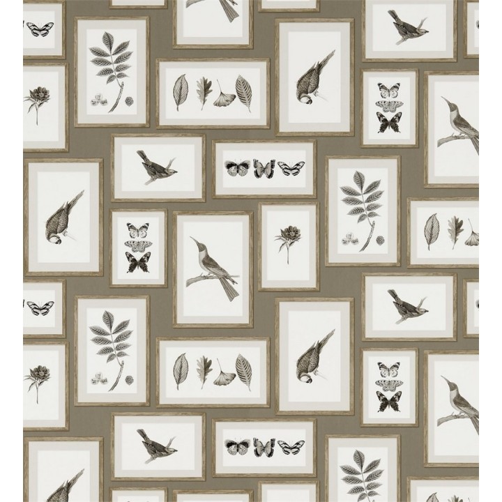 Papel pintado collage inglés de hojas y pájaros enmarcados - Moray 565540