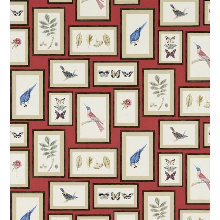 Papel pintado collage inglés de hojas y pájaros enmarcados - Moray 565541