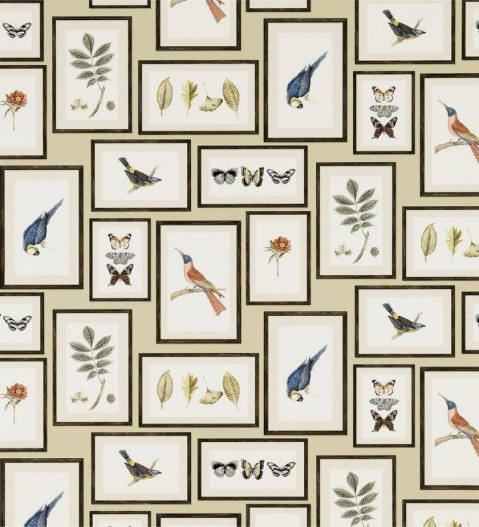 Papel pintado collage inglés de hojas y pájaros enmarcados - Moray 565542