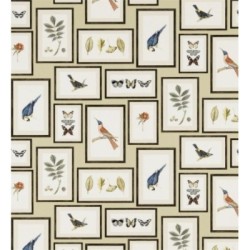 Papel pintado Moray 565542