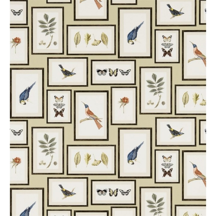 Papel pintado collage inglés de hojas y pájaros enmarcados - Moray 565542