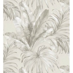 Habana Tropical 676366