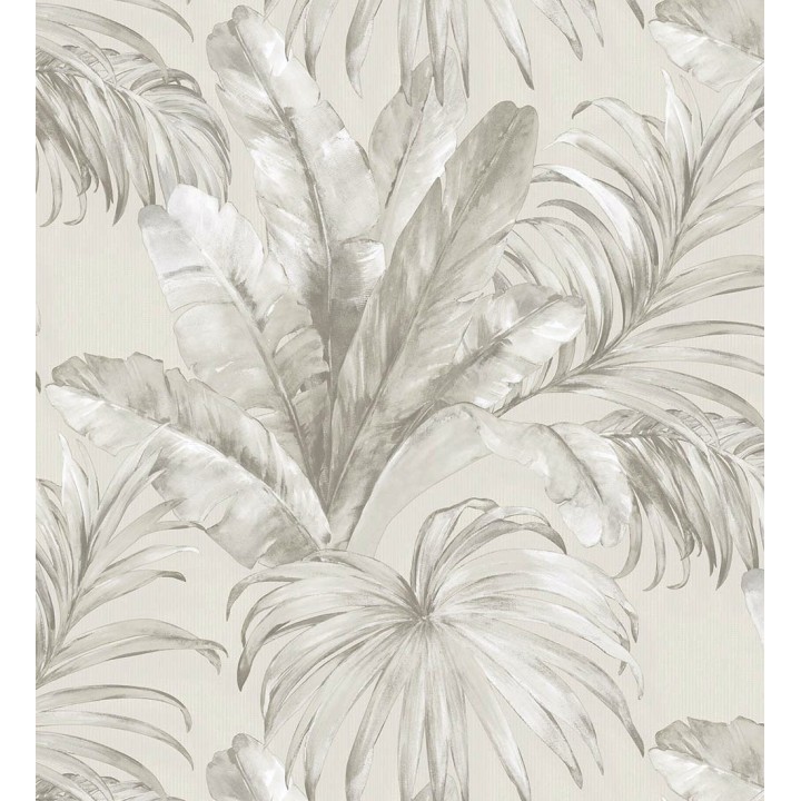 Habana Tropical 676366