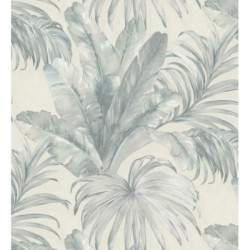 Habana Tropical 676367