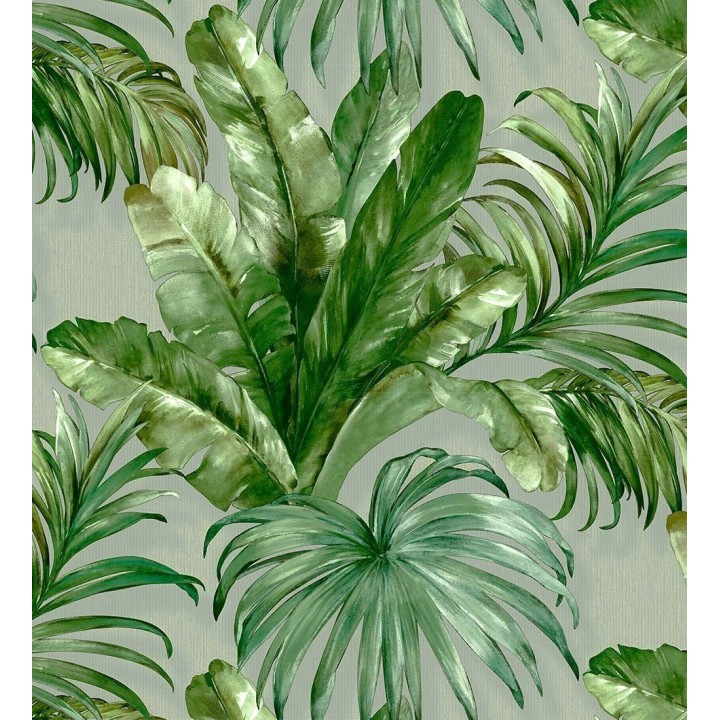 Habana Tropical 676368