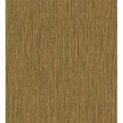 Papel pintado Saratov Texture 676387