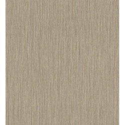 Papel pintado Saratov Texture 676389