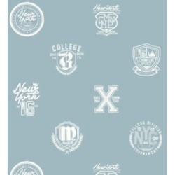 Papel pintado Champion Spirit 677022