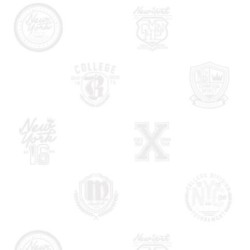 Papel pintado Champion Spirit 677024