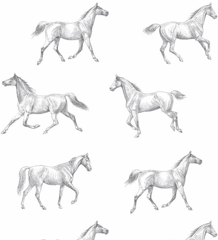 Papel pintado caballos de Glasgow fondo blanco - Glasgow Horses 677026