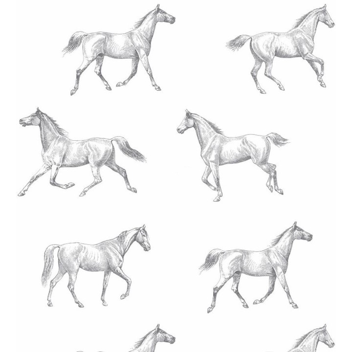 Papel pintado caballos de Glasgow fondo blanco - Glasgow Horses 677026