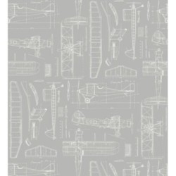 Airplane Design 677030