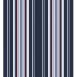 Papel pintado Raya Goodman 677043