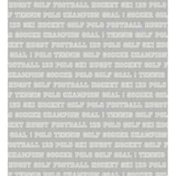 Papel pintado Champion Goal 677050