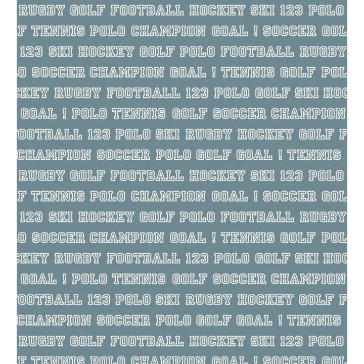 Papel pintado Papel pintado nombres de deportes fondo azul grisáceo - Champion Goal 677052