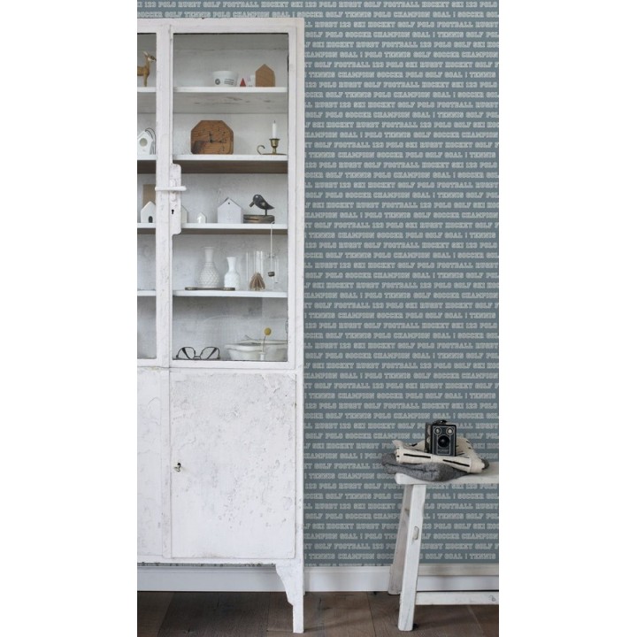 Papel pintado Papel pintado nombres de deportes fondo azul grisáceo - Champion Goal 677052