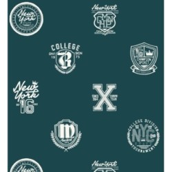 Papel pintado Champion Spirit 677073