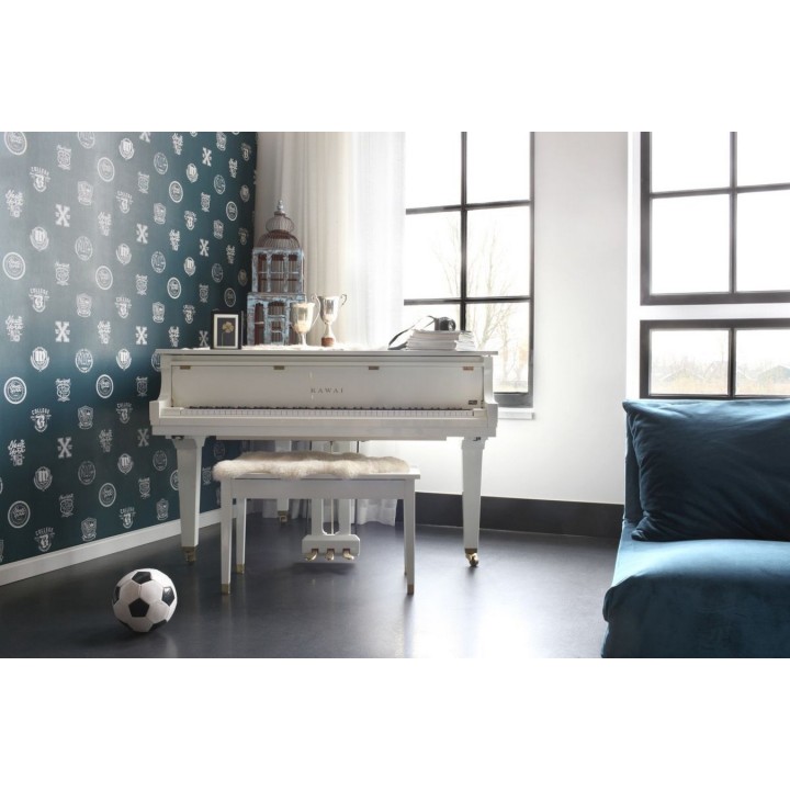 Papel pintado con emblemas universitarios fondo verde oscuro - Champion Spirit 677073