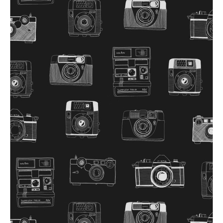 Papel pintado cámaras de fotos estilo vintage - Vintage Pics 677190