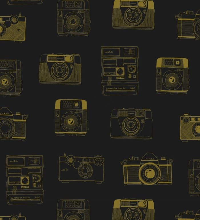 Papel pintado cámaras de fotos estilo vintage - Vintage Pics 677191