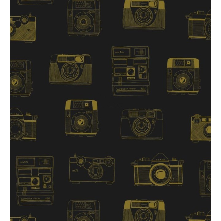 Papel pintado cámaras de fotos estilo vintage - Vintage Pics 677191