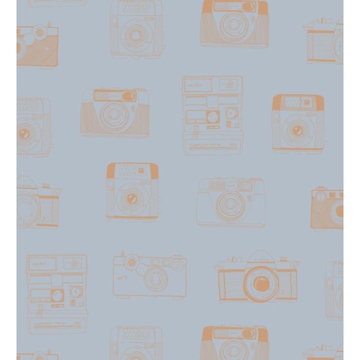 Papel pintado cámaras de fotos estilo vintage - Vintage Pics 677192