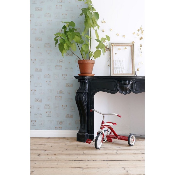 Papel pintado cámaras de fotos estilo vintage - Vintage Pics 677192