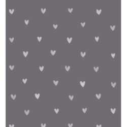 Papel pintado Magic Hearts 677198