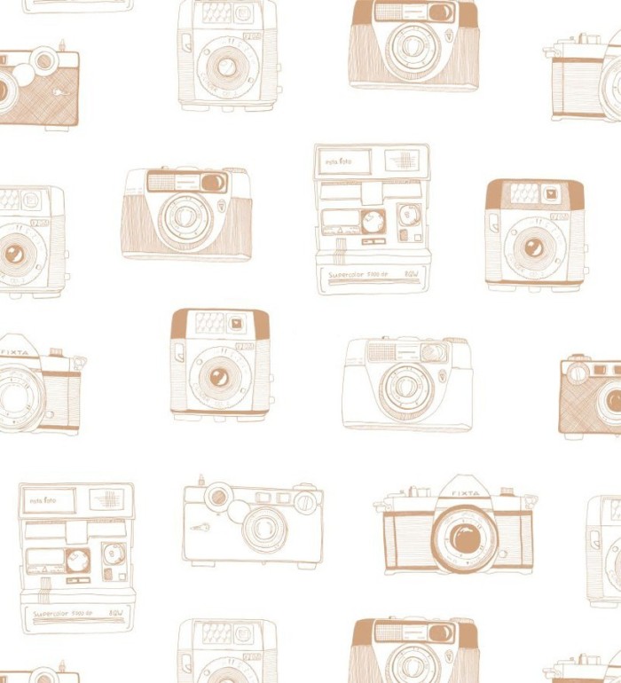 Papel pintado cámaras de fotos estilo vintage - Vintage Pics 677215