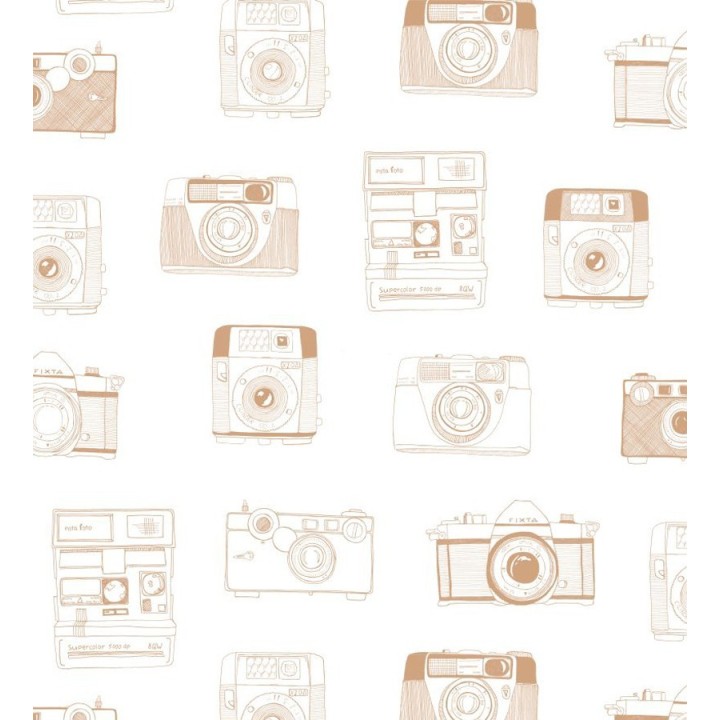 Papel pintado cámaras de fotos estilo vintage - Vintage Pics 677215