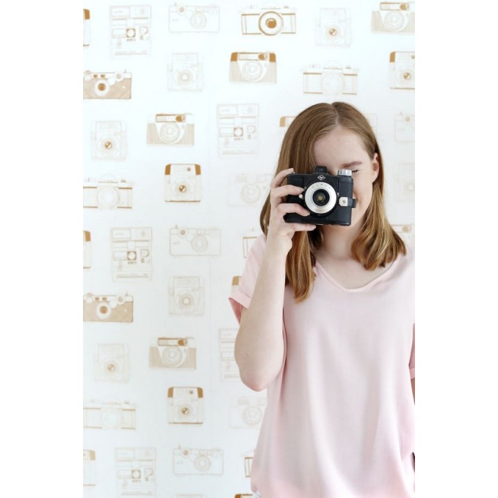 Papel pintado cámaras de fotos estilo vintage - Vintage Pics 677215